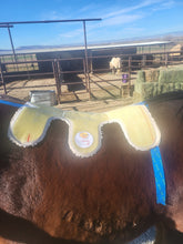 Load image into Gallery viewer, SaddleCast