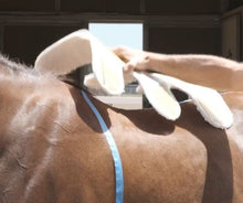 Load image into Gallery viewer, SaddleCast