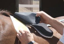 Load image into Gallery viewer, SaddleCast